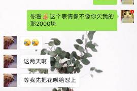 沂水企业清欠服务